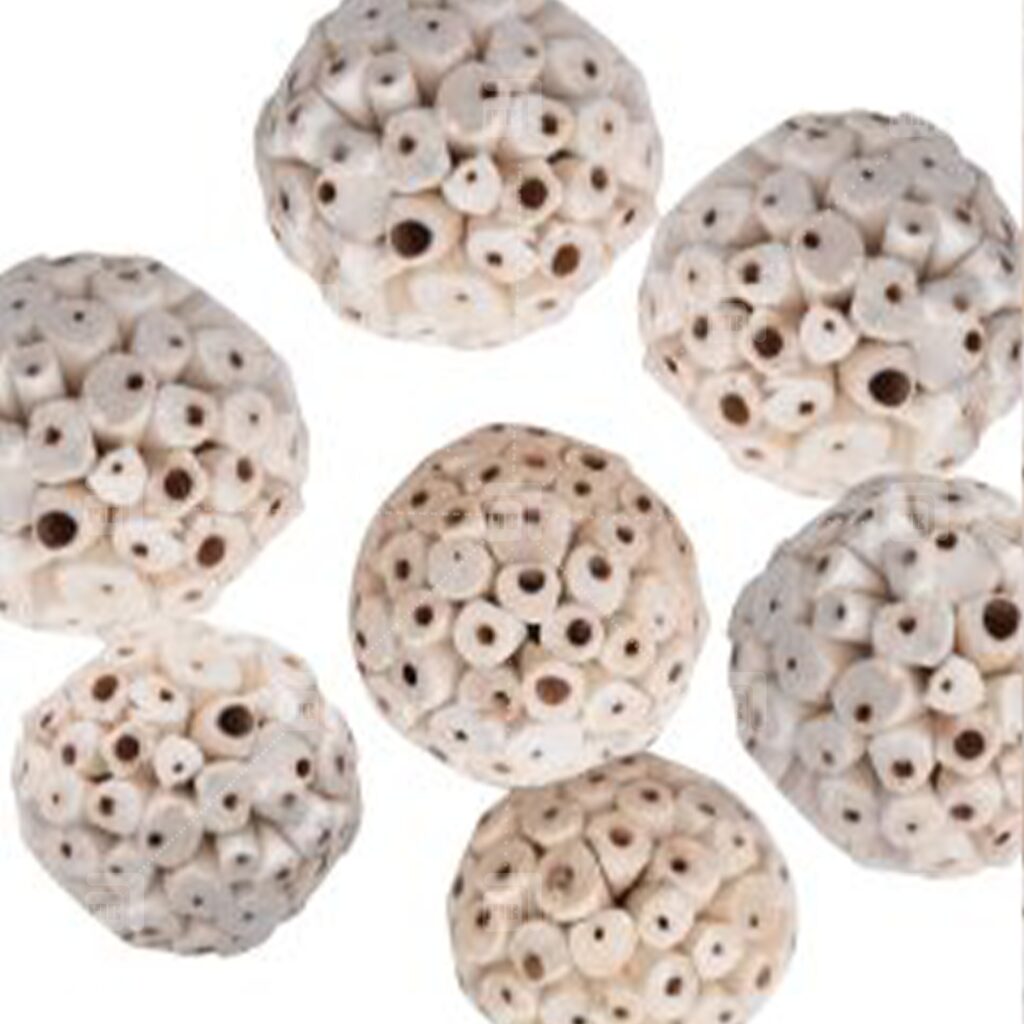 IMG 20251018 WA0012 1024x1024