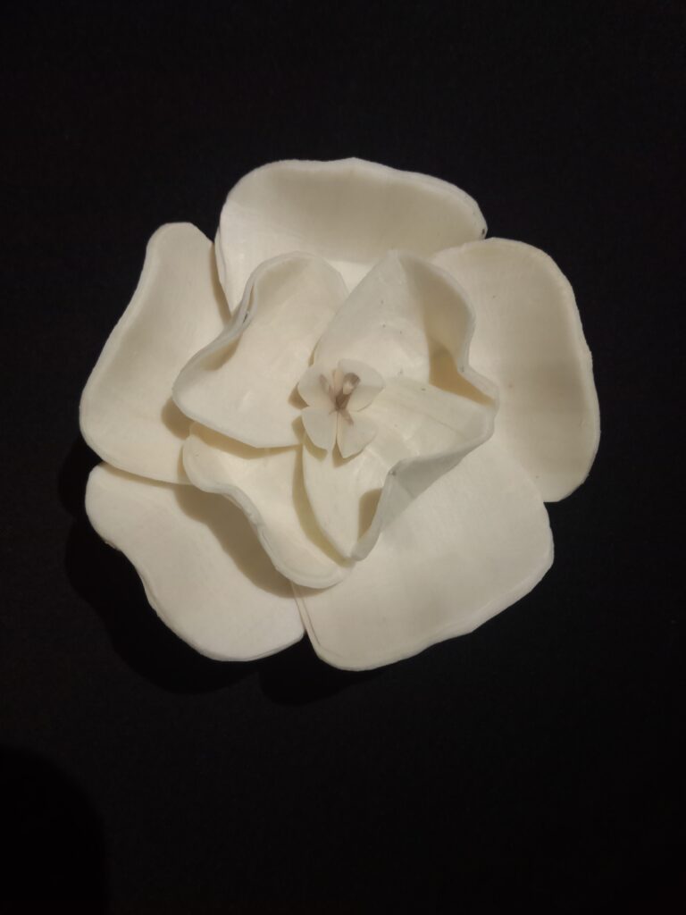 IMG 20240511 115220 768x1024