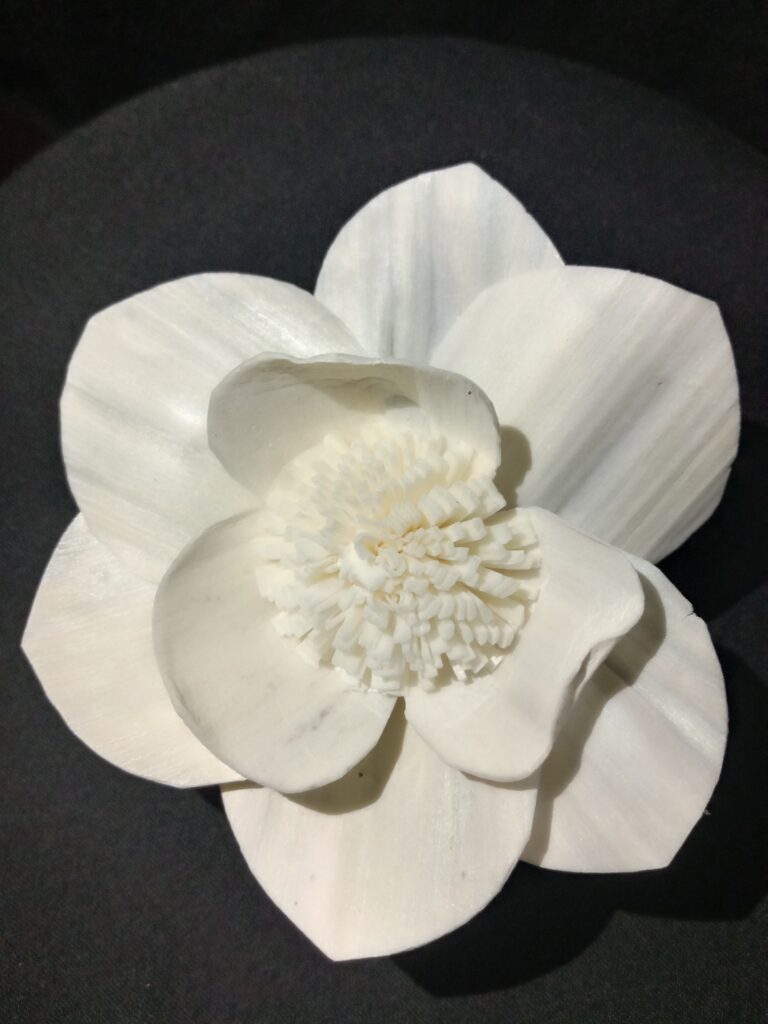 IMG 20240512 104941 768x1024