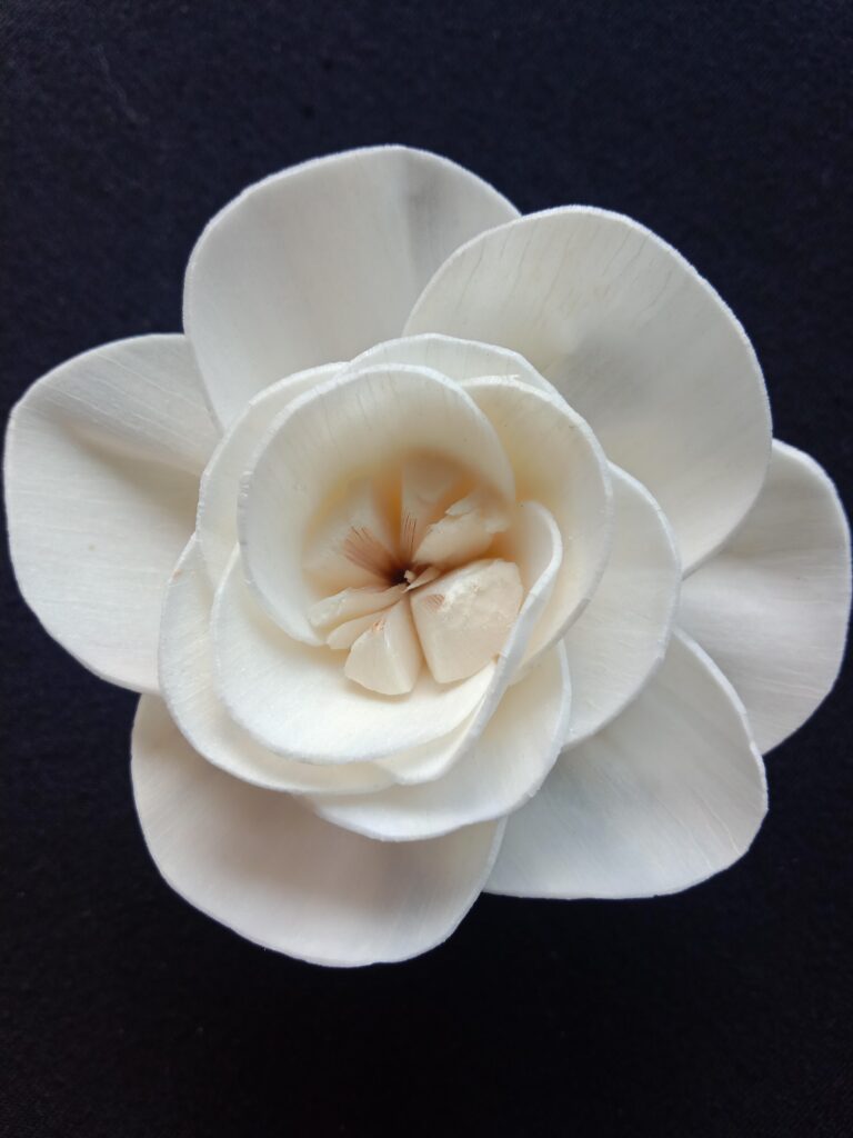 IMG 20240512 110738 768x1024