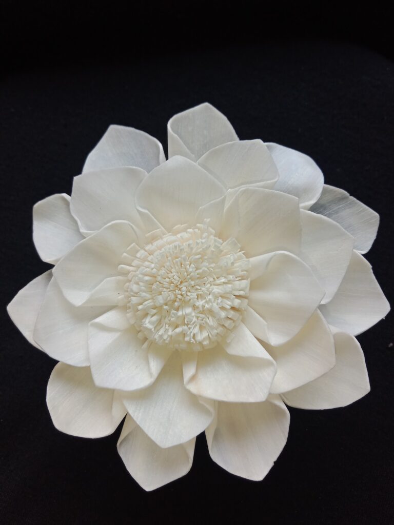 IMG 20240512 113159 768x1024