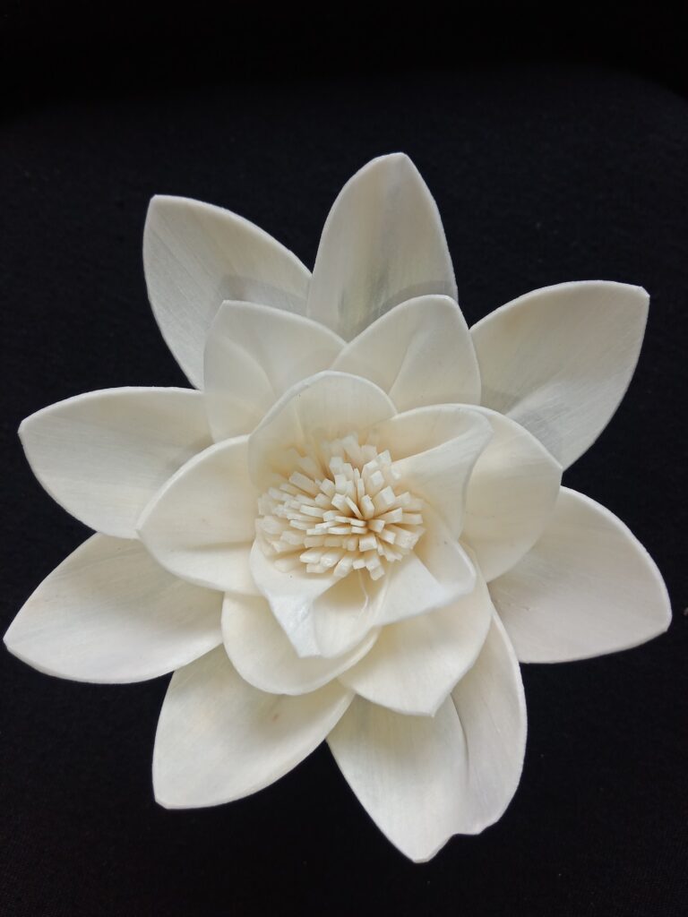 IMG 20240512 113706 768x1024