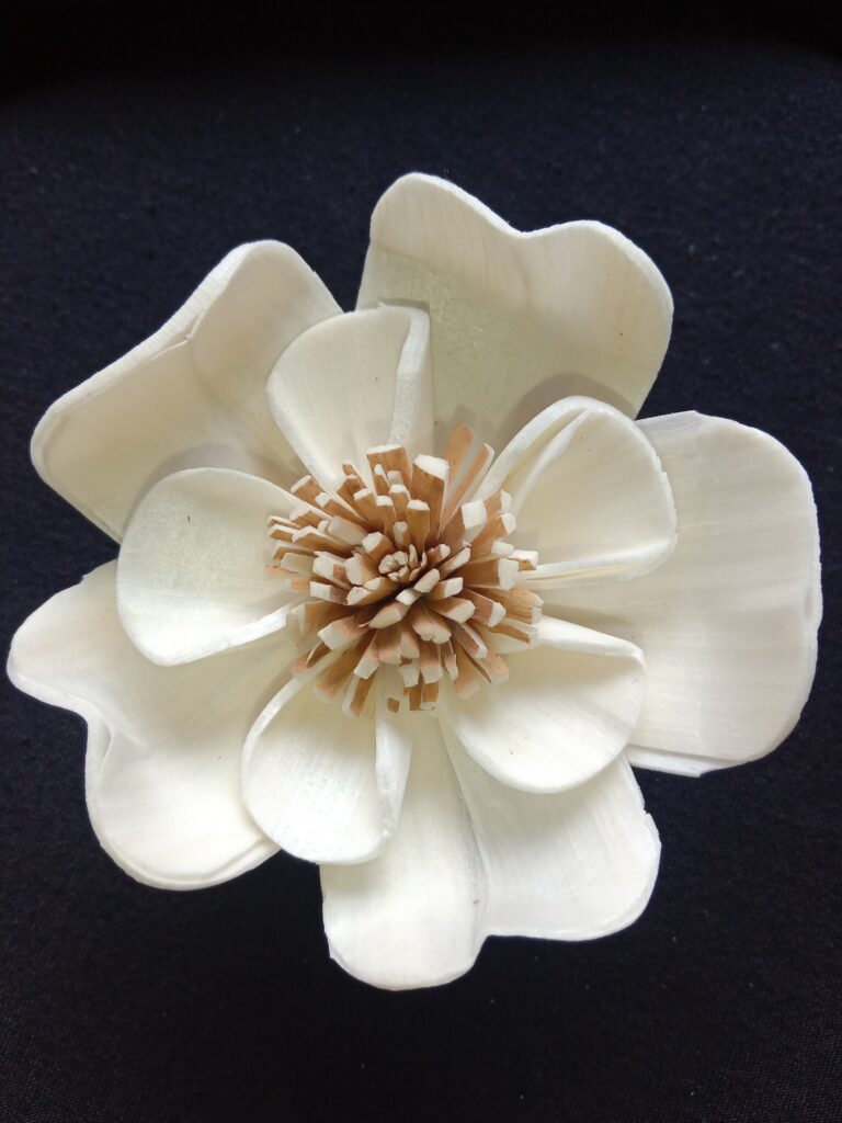 IMG 20240512 113917 768x1024