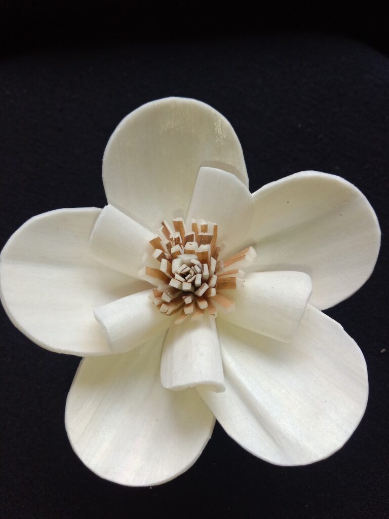 IMG 20240512 114354 768x1024