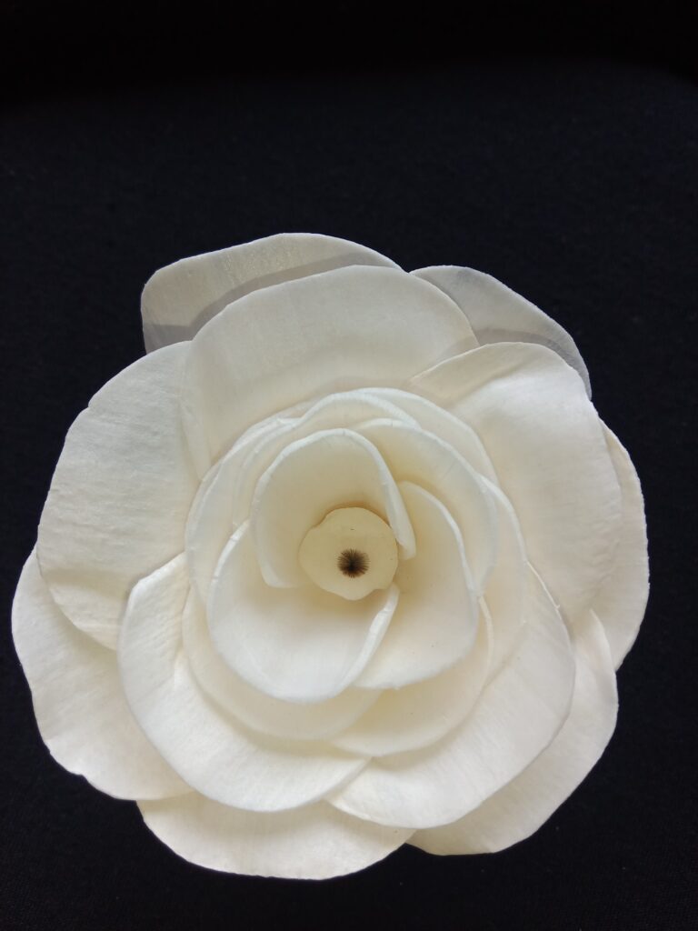 IMG 20240512 114959 768x1024