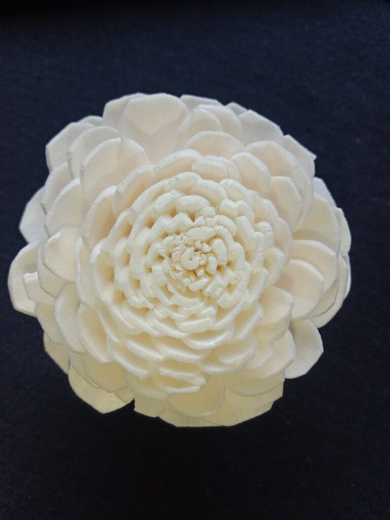 IMG 20240512 115523 768x1024