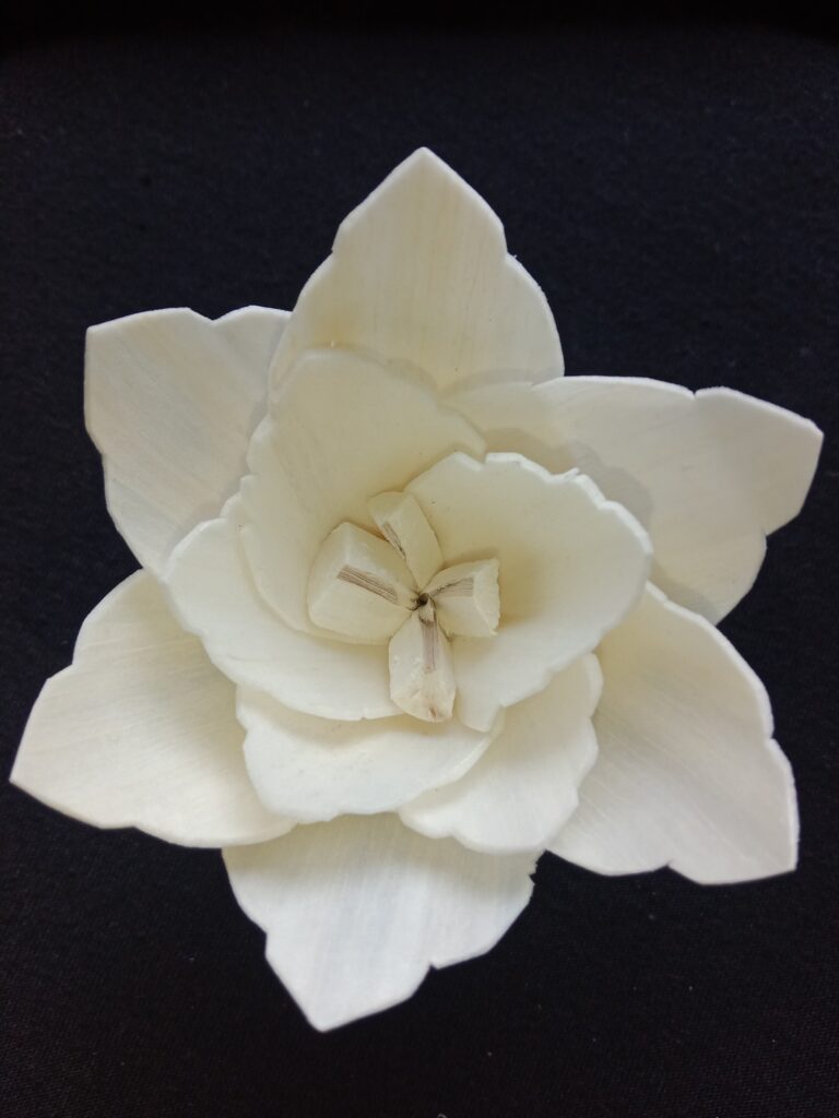 IMG 20240512 115632 768x1024