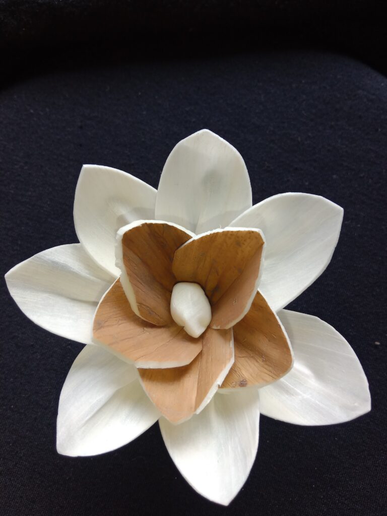 IMG 20240512 115816 768x1024