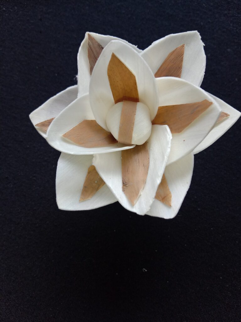 IMG 20240512 115945 768x1024