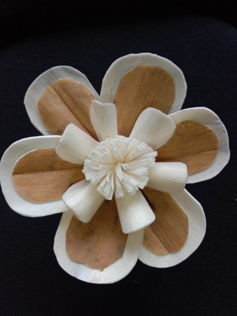 IMG 20240512 120330 768x1024