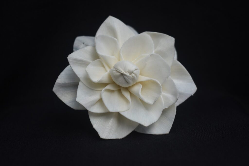 WhatsApp Image 2025 10 12 At 21.44.22 Bd97777d 1024x683