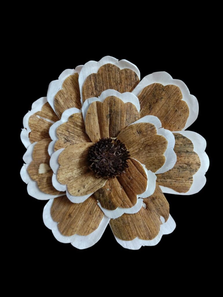 WhatsApp Image 2025 11 22 At 19.11.44 D7174077 770x1024