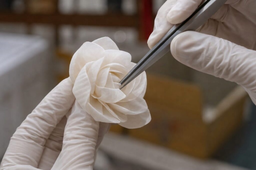 whatsapp image 2025 12 30 at 10.54.00 pm