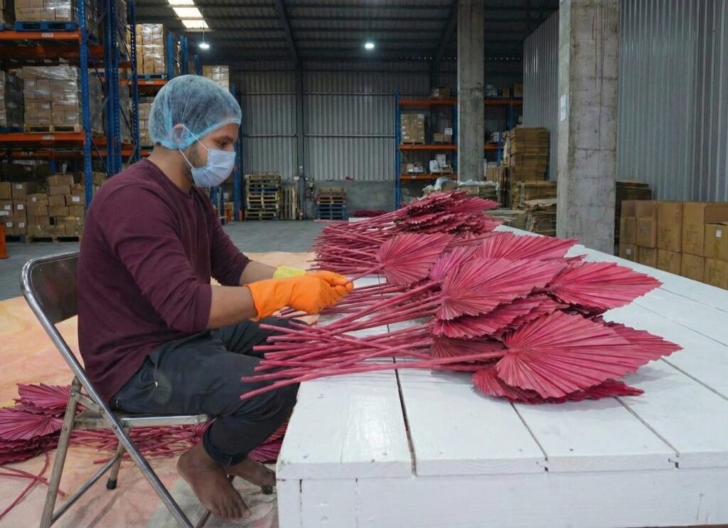 whatsapp image 2026 01 02 at 2.53.22 pm