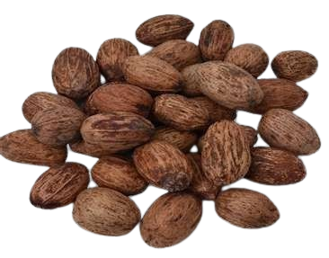 amra pod 1 removebg preview