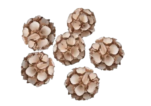 ball removebg preview