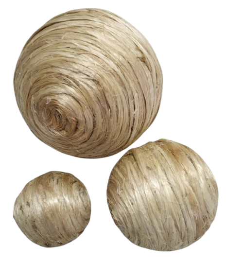 deco removebg preview