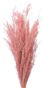 grass removebg preview